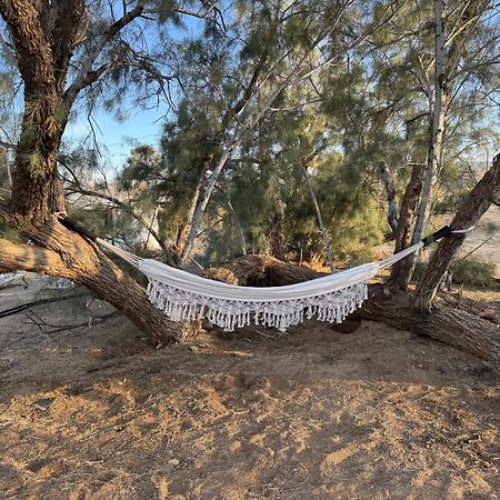 Casa Agave: Comfy Joshua Tree Cottage With Free Breakfast Bar Экстерьер фото