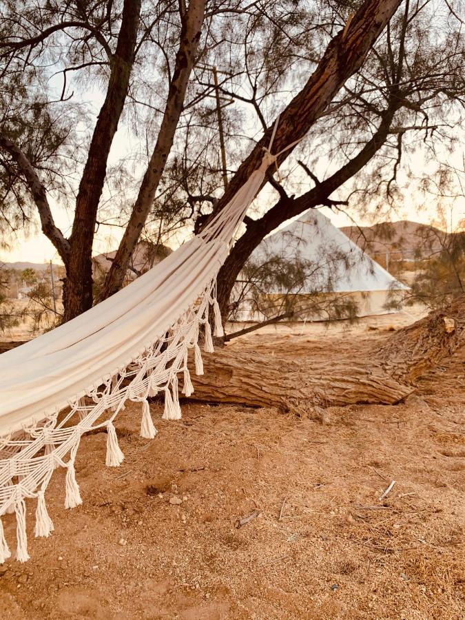 Casa Agave: Comfy Joshua Tree Cottage With Free Breakfast Bar Экстерьер фото