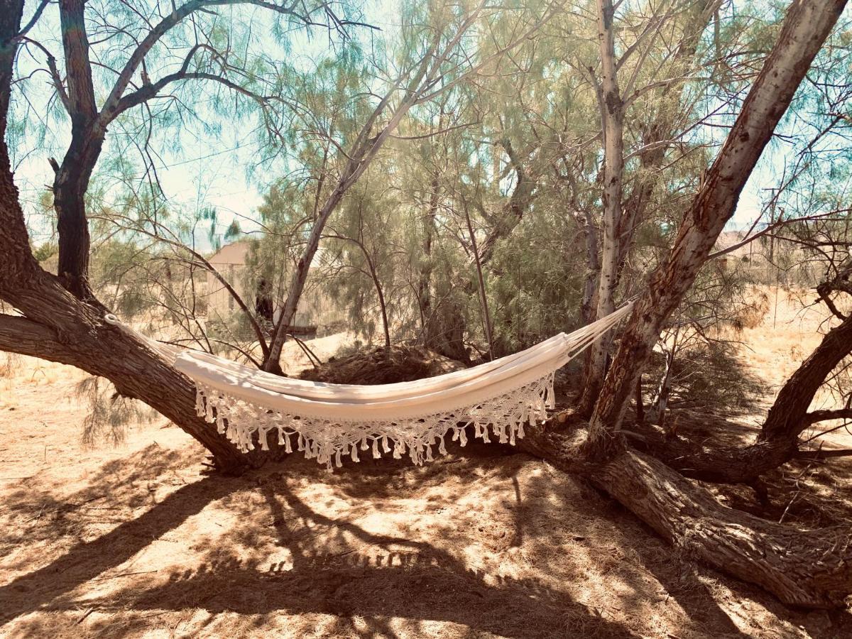 Casa Agave: Comfy Joshua Tree Cottage With Free Breakfast Bar Экстерьер фото