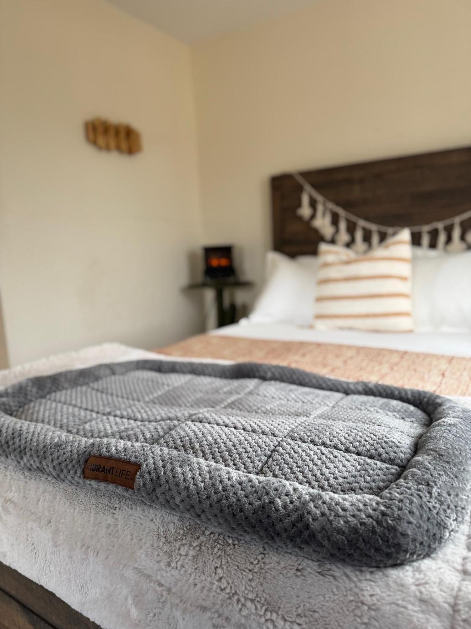 Casa Agave: Comfy Joshua Tree Cottage With Free Breakfast Bar Экстерьер фото