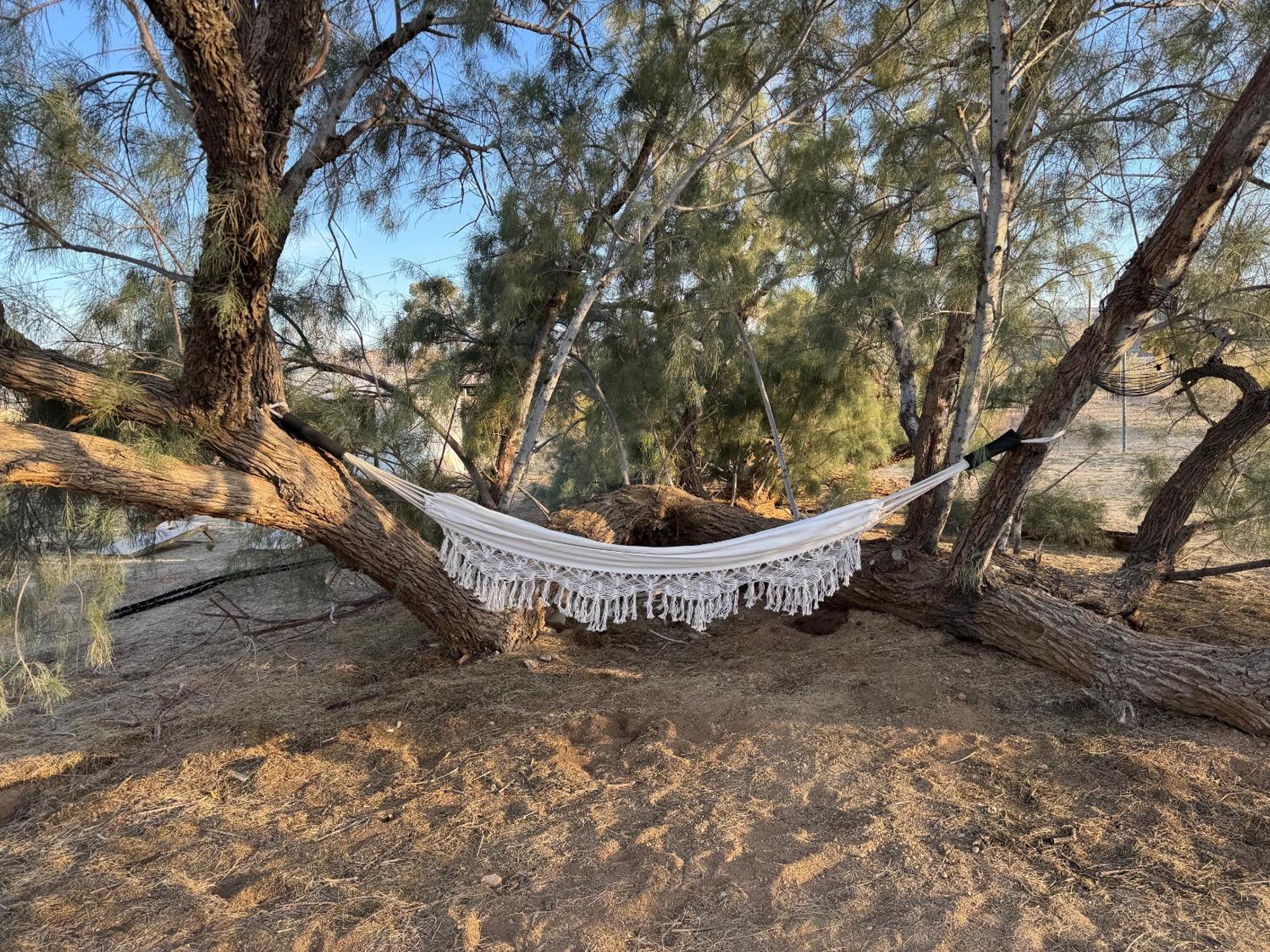 Casa Agave: Comfy Joshua Tree Cottage With Free Breakfast Bar Экстерьер фото